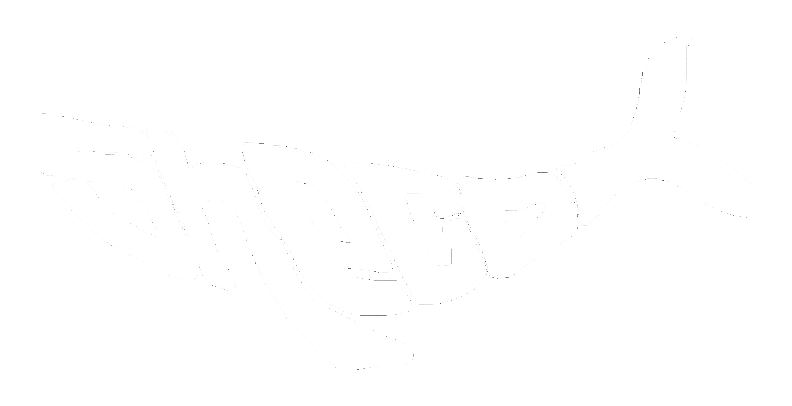 Sheco